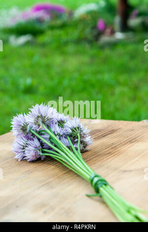 Flower chives tied in a snop on a natural wooden cutting board Stock Photo