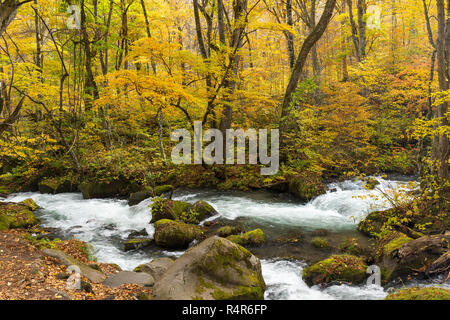 Oirase Stream in autumn Stock Photo