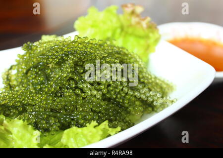 Caulerpa lentillifera seaweed is a species of bryopsidale green algae Stock Photo
