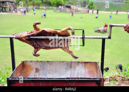 Grilling whole pig on hot charcoal in village in vietnam Stock Photo