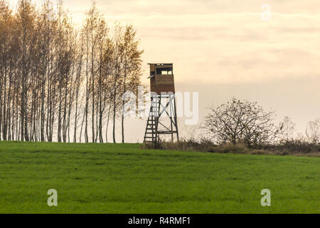 Early morning. Wooden hunting tower on the edge of the field. Hunting for boars, deer and roe deer. Podlaskie, Poland. Stock Photo