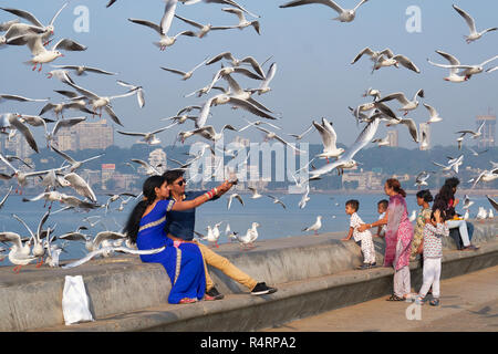 A couple at Marine Drive, a boulevard by the Arabian Sea in Mumbai, India, taking selfies surrounded by migratory gulls flown in for the winter months Stock Photo