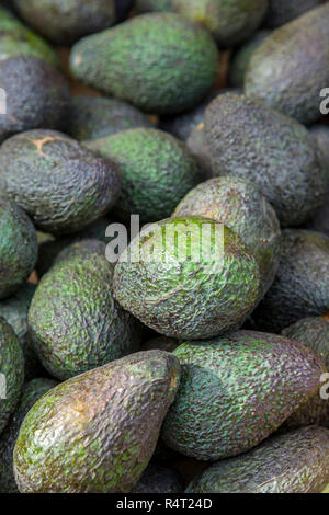 Fresh avocado at the market Stock Photo