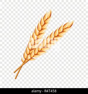 Wheat icon. Realistic illustration of wheat vector icon for on transparent background Stock Vector