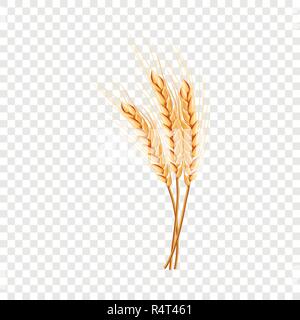 Eco wheat icon. Realistic illustration of eco wheat vector icon for on transparent background Stock Vector