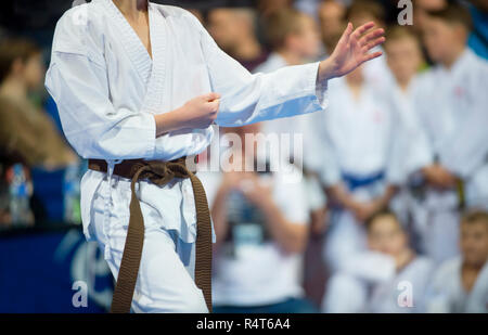 young, beautiful and successful karate kid in karate position. Sport competition. Stock Photo