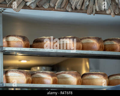 Various loafs of freshly baked bread sitting on steel kitchen shelf ready for serving Stock Photo