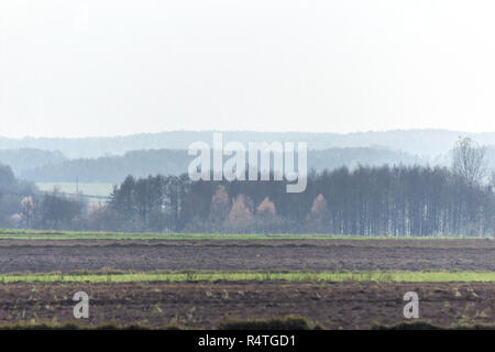 Autumn forests in the fog in the background. Plowed fields and green meadows in the foreground.  Podlasie, Poland. Stock Photo