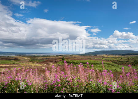 View from the viewpoint Struie Hill, on the horizon the estuary Dornoch Firth, Sutherland, Scotland, Great Britain Stock Photo