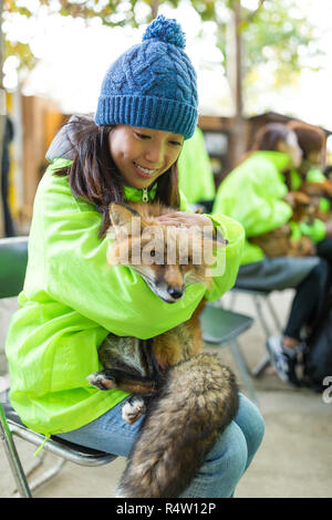 Young Woman hug fox Stock Photo