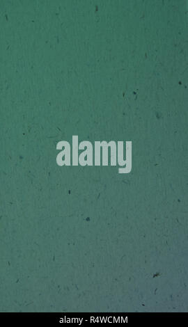 green petrol background texture backdrop pattern frame Stock Photo
