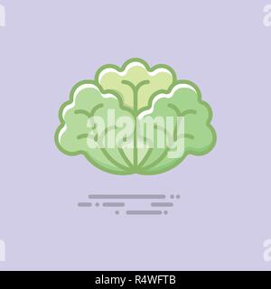 Lettuce color filled line icon. Healthy vegetable vector symbol. Stock Vector