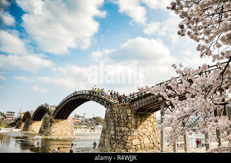 Cherry-blossoms and Kintai bridge in Iwakuni, Yamaguchi, Japan Stock Photo