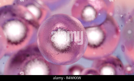 Cells human or animal under microscope. 3d render illustration Stock Photo