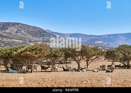 Traditional landscape in Naxos Stock Photo