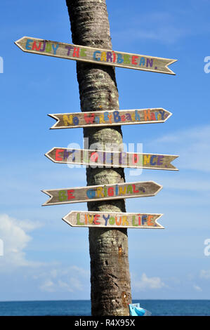 Beach Signs on a Tree Trunk Stock Photo