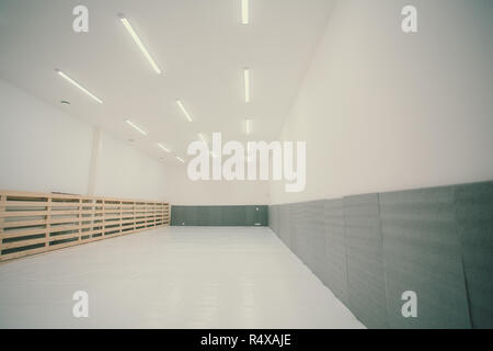 Gymnasium for martial arts training with tatami mat. Stock Photo