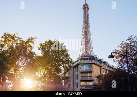 Sunlight shining through the trees and illuminates a street in the city of Paris. The Eiffel Tower is behind the building. France Stock Photo