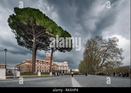 Stone pine trees  Pinus pinea against a stormy Roman sky over  Lungotevere Castello leading to Cassa Mutua Nazionale and the  Palace of Justice, Rome Stock Photo