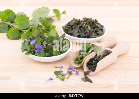 Porcelain bowls and wooden spoon with fresh and dried ground ivy Stock Photo