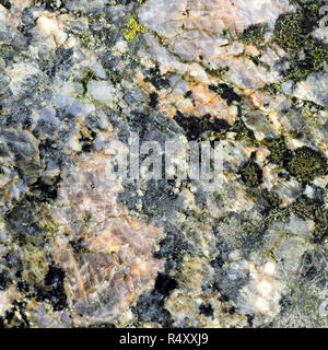 Texture of the polished surface of Filipstad Granite, macro shot Stock Photo