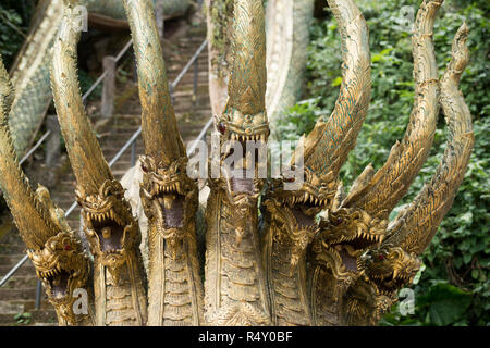 thailand chiang rai mai sai monkey cave temple Stock Photo