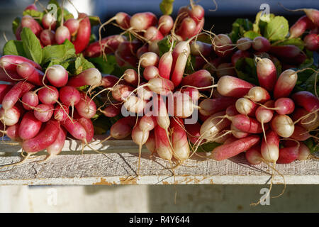 tender young radishes at the farmers market on a wooden table Stock Photo