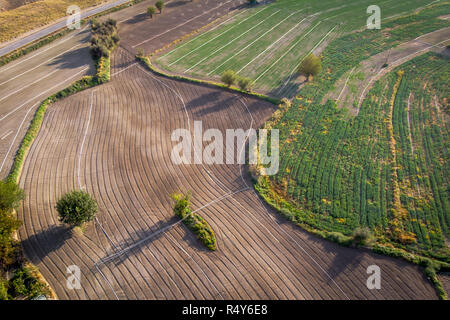 Aerial view of fields with geometric shapes Stock Photo