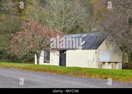 White corrugated metal croft with pink tree in Eilanreach, Kyle, Scotland. Stock Photo
