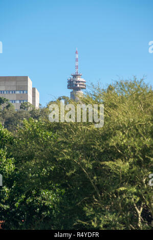 Johannesburg, South Africa, 28 November, 2018. A tree-lined view of the iconic Hillbrow Tower, often featuring in skyline shots of Johannesburg. The city is one of the most tree-lined cities in the world. The tree planting dates back to the 1880s. And by the 1990s, an estimated 10 million trees had been planted within the boundaries of the new, expanded boundaries of the city, according to the City of Johannesburg website. Credit: Eva-Lotta Jansson/Alamy Live News Stock Photo