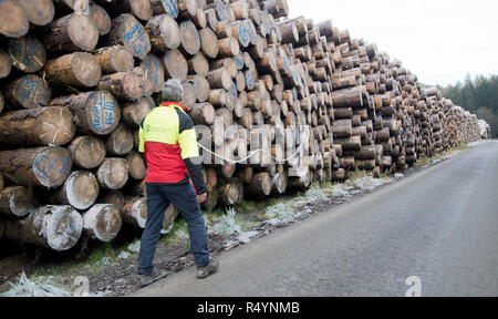 Altenau, Germany. 28th Nov, 2018. Several thousand tree trunks lie covered by a thick layer of ice at a camp site of the Lower Saxony State Forests in the Harz Mountains. The up to 140 year old spruce trunks had fallen victim to the Frederike storm in spring and now have to wait for sale due to the saturated timber market. The winter weather and the artificial irrigation of the wood has now turned everything into an ice landscape. Credit: Julian Stratenschulte/dpa/Alamy Live News Stock Photo