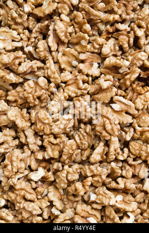 A walnut is the nut of any tree of the genus Juglans (Family Juglandaceae), particularly the Persian or English walnut, Juglans regia. Stock Photo