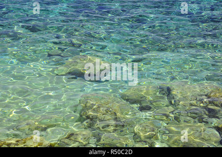 Clear sea water in sunlight Stock Photo