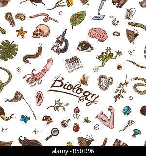 Scientific laboratory in Biology seamless pattern. Biochemistry Research. Living creatures organisms molecules. Medicine in school. Education and Science. engraved hand drawn in sketch vintage style. Stock Vector