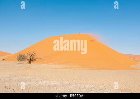 two persons climning Dune 45 ,windy day, namib desert, Namibia Stock Photo