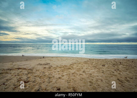 La Jolla, California, USA. Photograph taken at Marine St. Beach on a cloudy November morning. Stock Photo