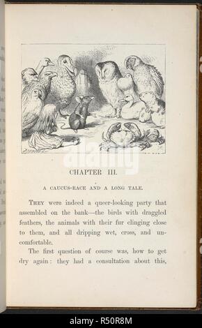 Illustration for the chapter, 'a caucus-race and a long-tail.' Alice and various creatures, suchh as a crab, owl, parrot, duck and mouse.  . Alice's Adventures in Wonderland. With forty-two illustrations by John Tenniel. London : Macmillan & Co., 1866 [1865]. Source: C.59.g.11, page 29. Stock Photo