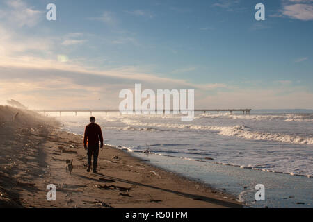 A man walks his dog along the sandy beach on a Sunday afternoon Stock Photo