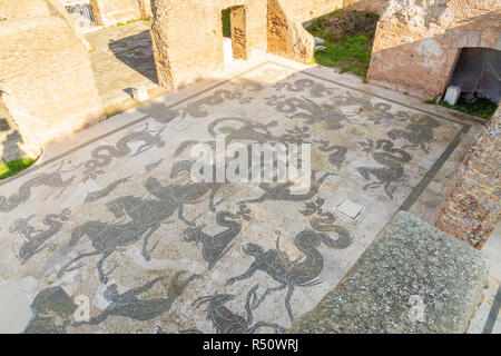 Ostia antica in Rome, Italy. Detail of Neptune's triumph mosaic in the frigidarium of Neptune's baths