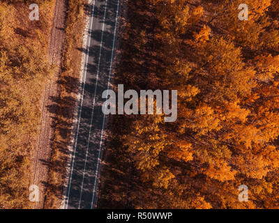 Aerial view of empty road through forest in autumn, indian summer scenery from drone point of view Stock Photo