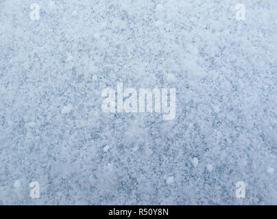 Background of fresh snow. Natural winter background. Snow texture in blue tone Stock Photo