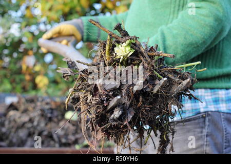 A garden compost heap is turned to aerate the contents, ensuring a rich, well balanced humus Stock Photo
