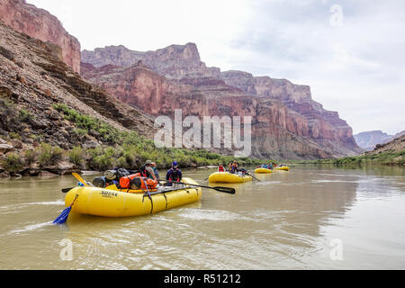 A flotilla of four rafts makes their way down the might Colorado River through the Grand Canyon, Arizona, USA Stock Photo