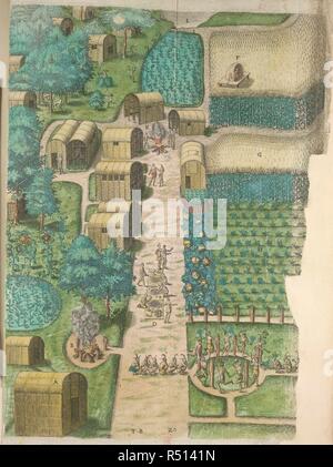 The Town / village of Secoton (Secota). Engraving of a bird's eye view of the village, with huts of light pole and mat construction. At the top of the path which runs through the village, two figures are tending a fire, while further down others are preparing food, and others dance round a circle of posts. Outside the village, figures are hunting with bows and arrows, and there are fields of corn, plots of tobacco, sunflowers, and borders of pumpkins. Travels through Virginia. From Theodor de Bry's 'America', Vol. I, 1590, after a drawing of John White. England; 1618. Source: Sloane 1622, f.88 Stock Photo