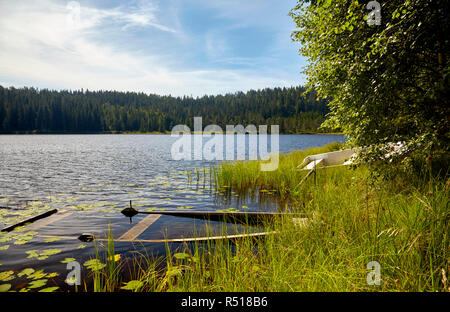 Sunken rowing boat in the south of Norway Stock Photo