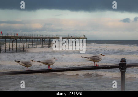 Saltburn in the North East England. Stock Photo