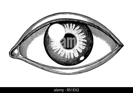 Human eye reference hand draw vintage engraving isolated on white background Stock Vector