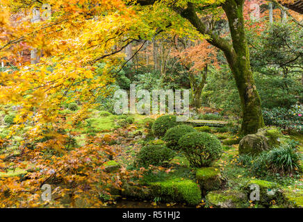 Japanese garden with autuman maple tree Stock Photo - Alamy