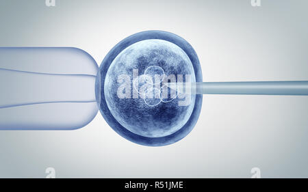 Genetic editing and gene research in vitro CRISPR genome engineering medical biotechnology health care concept with a fertilized human egg embryo. Stock Photo