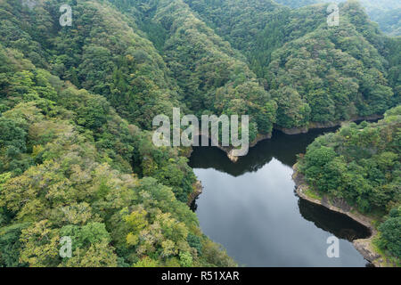 Ryu jin hi-res stock photography and images - Alamy